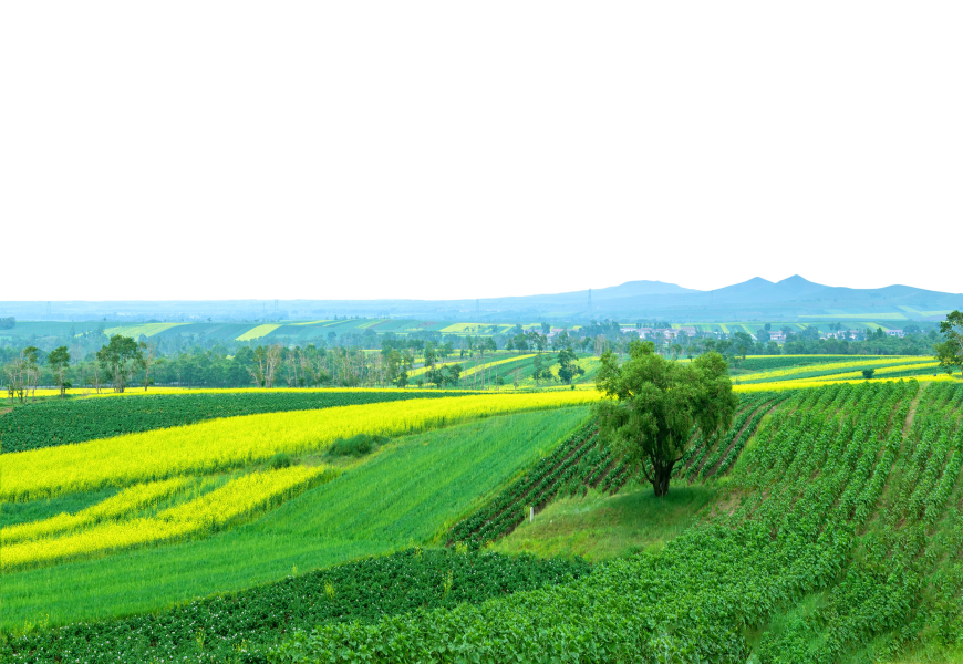blog_image